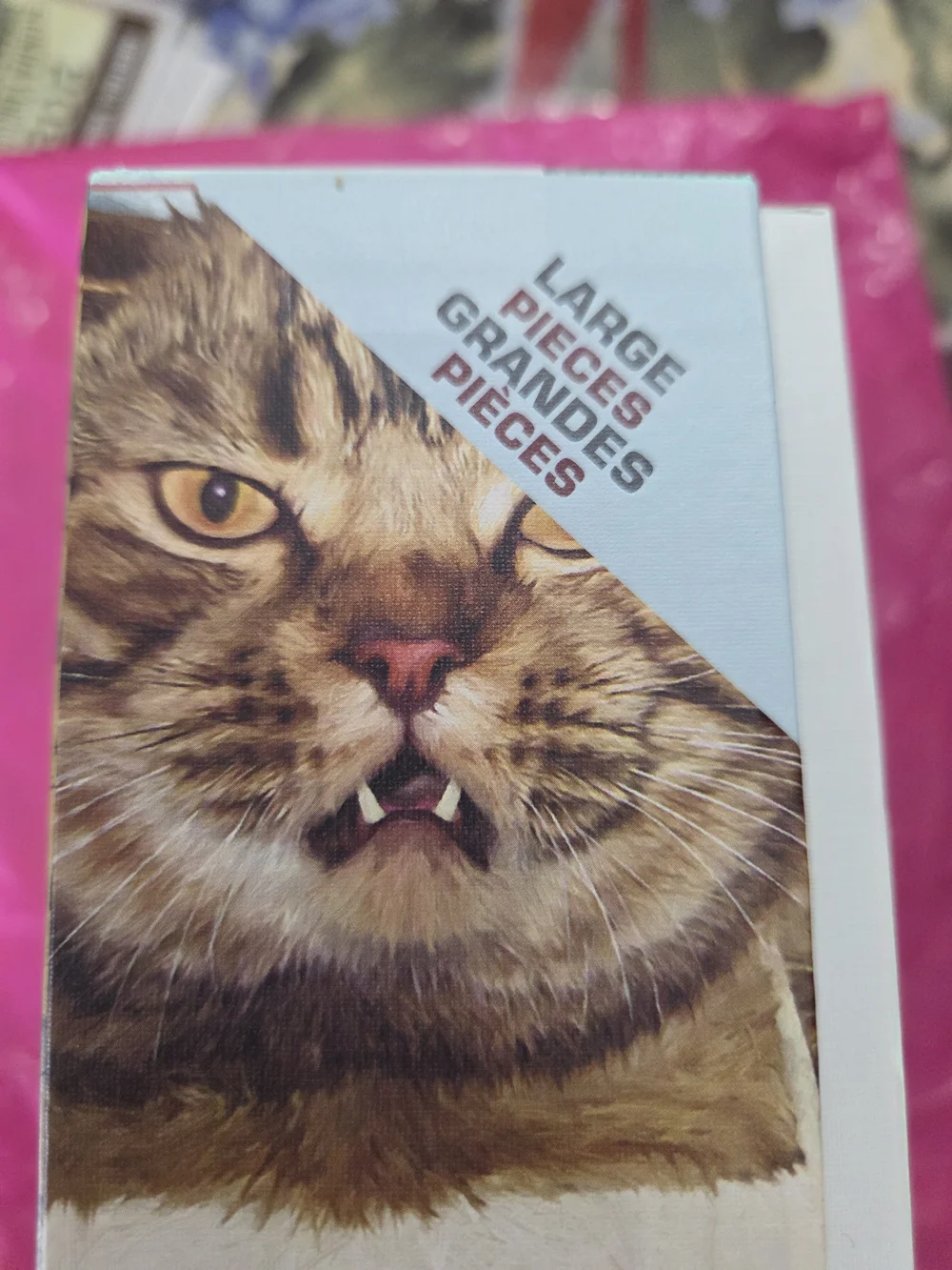 500-Piece Puzzle - Feline Felon (Brown)
